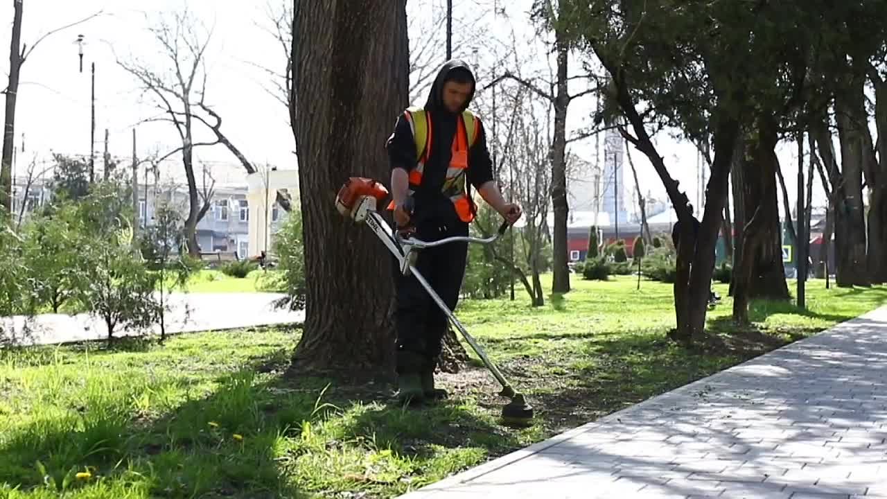 В парках и скверах крымской столицы – сезонные работы