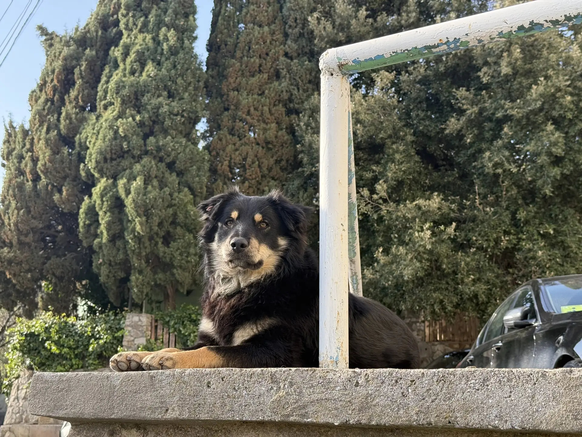 Константин Шимановский: Завершаем косметический ремонт подъезда на Стахановской, 19 и приступаем к новому объекту – пгт Никита, 38 корпус 2! Константин Шимановский: Завершаем косметический ремонт подъезда на Стахановской, 19 и приступаем к новому объекту – пгт Никита, 38 корпус 2!