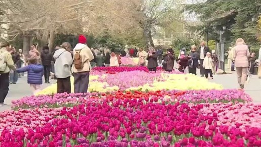 В Севастополе этой весной высадили сотни символов весны: на кольцах, в парках, вдоль центральных улиц