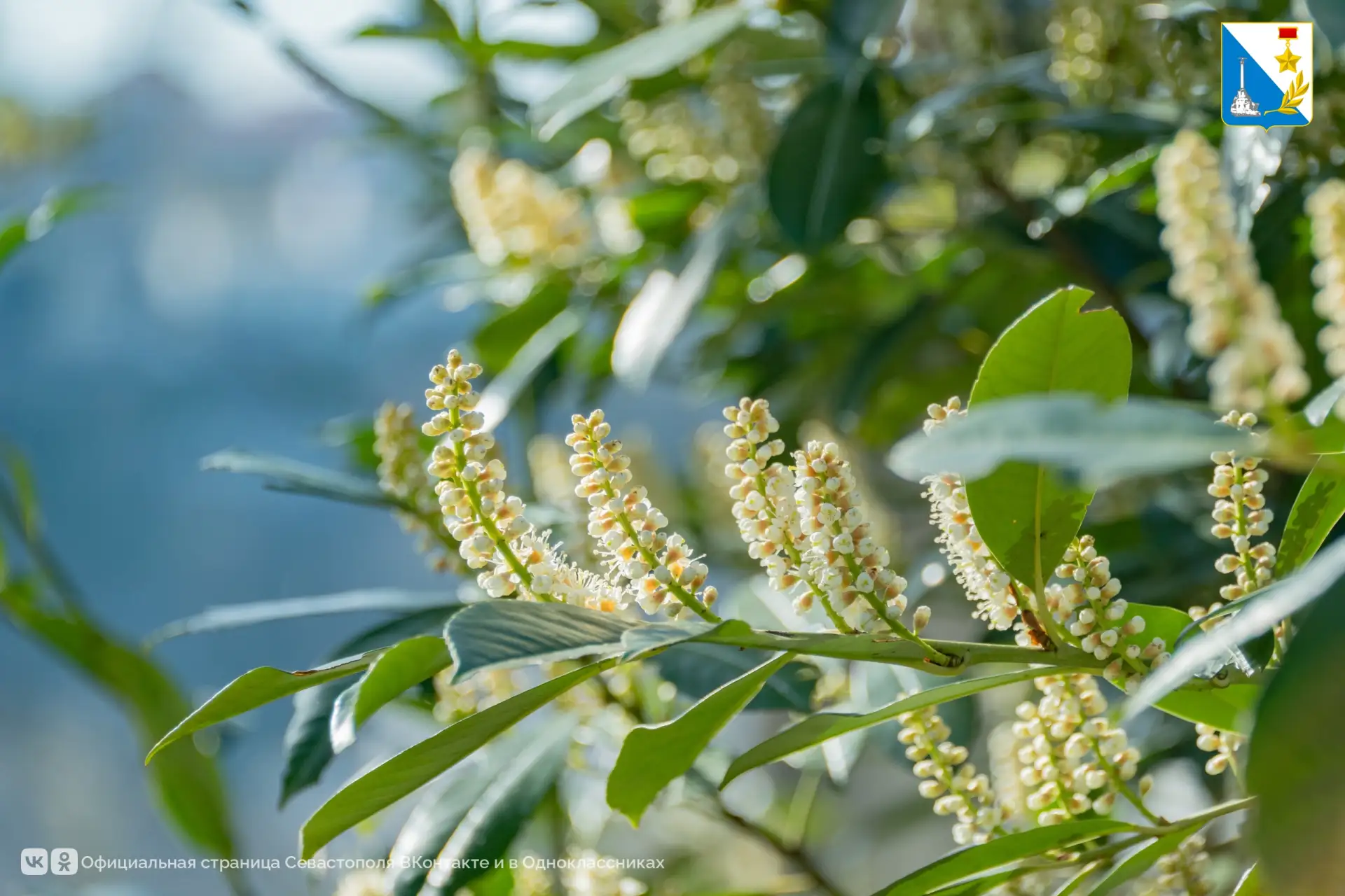 Специалисты «Парков и скверов» приводят в порядок общественные пространства после зимы Специалисты «Парков и скверов» приводят в порядок общественные пространства после зимы