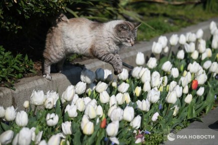 Прогноз погоды в Крыму на среду