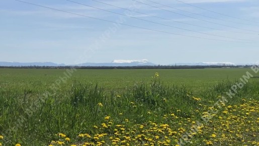 �������� ������� �� ���� ������������ �����-����