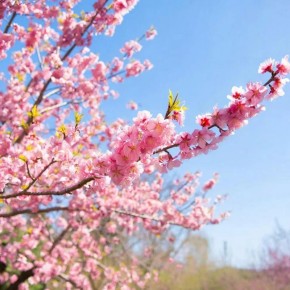 ����� ������ ��� ������� � ������ ����� 16 ������