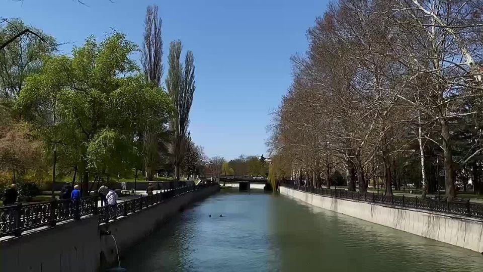 ������ ����, �����������!