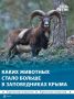 Оленей, муфлонов и волкособов в крымских заповедниках стало больше в три раза за год