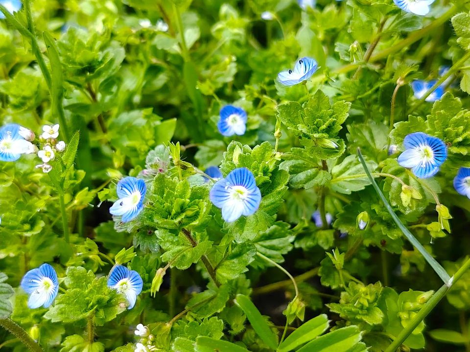 ������ ����, �������!. ����� ����� ������ ������ ���! ������� � �������� ����, t +8 - +15, ����� ���������, ��������