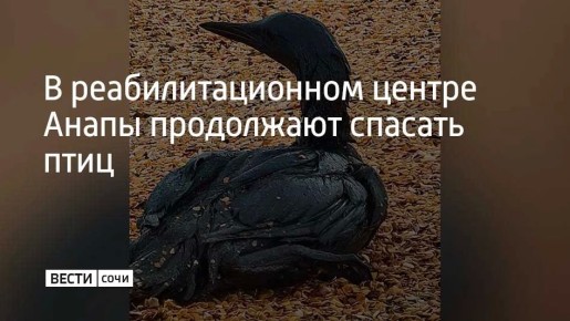 ���������� ������: � ������ � ���� �������� ������, ������������ ��-�� ����������� ��������� �������, �������� �� ��������, ������������ � ������� ����: ������, ����, �����, ����� ����� ������� � ����� �������