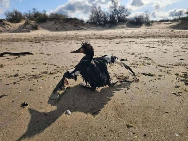 �������� ����� ������� � ����� � ����� ��� �������� ���� �� ������ ��������� �������