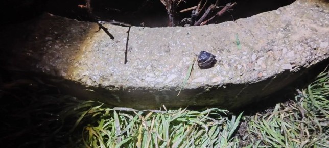 Полицейские Джанкоя пресекли попытку распространения крупной партии «соли» на территории города