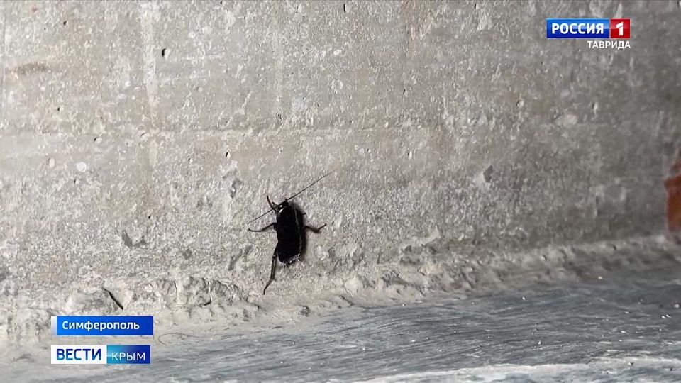 ������ ����� �� ����������� ����������� �������� �� ��������� ��������� � ����� ���������