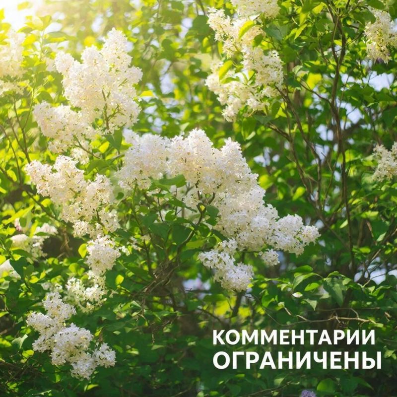 ���� �����: ��������� ��������� ������ ����������!