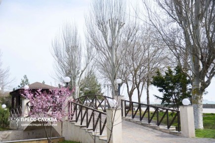 ������ ����, ���������!. ����������� ������� ���������� ������� �� +15��