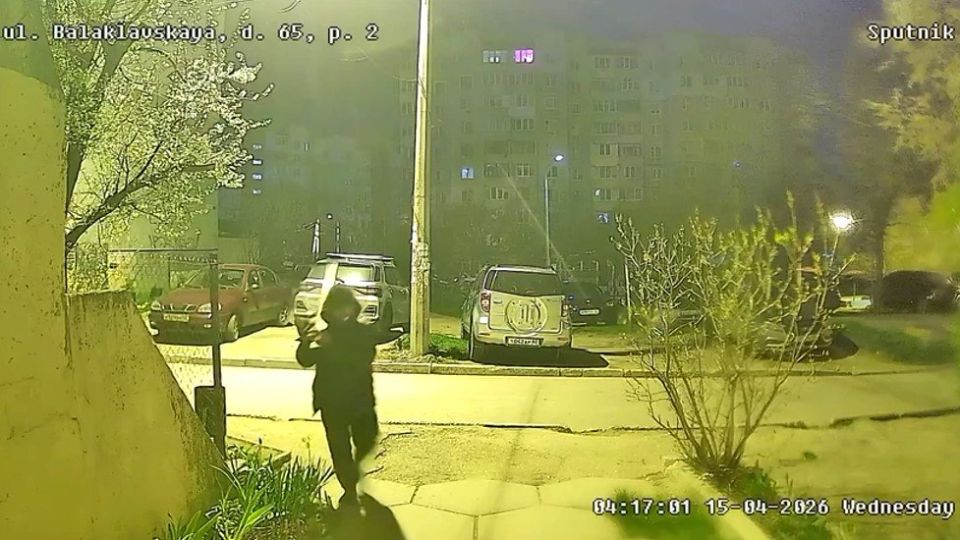 В симферопольском дворе мужчина огромной доской избил до полусмерти дворового пса Мишку