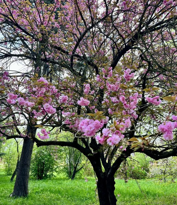 ������� ������ � ����� �� 16 ������