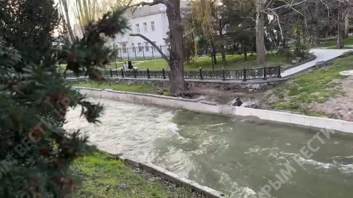 ������, ����� ������� ���� �����, ������ ����������