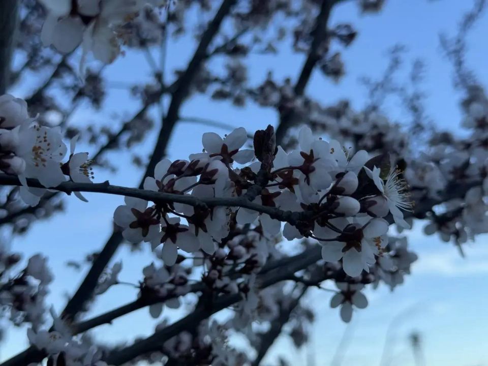 ������ � ����������� 17 ������