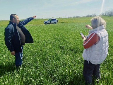 ���� ���������: �������� ������������ ������������� �������� �������� ���������� ������� � ���� �������� ���������