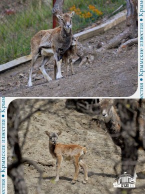 ������� �������� �� ���� � �������� � ������������ ����� ���������