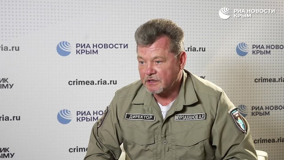 Гибрид волка и собаки: в Крыму можно наткнуться на волкособа