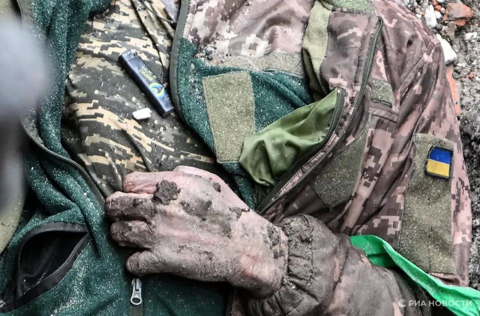 "Украинцы кровью покупают время для ЕС"