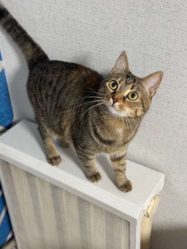 ������������ ����� � ����������� ����� ���������� � ���� �� 20 ������