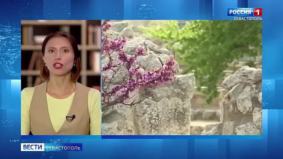 Как аллергикам справиться с весенним цветением?