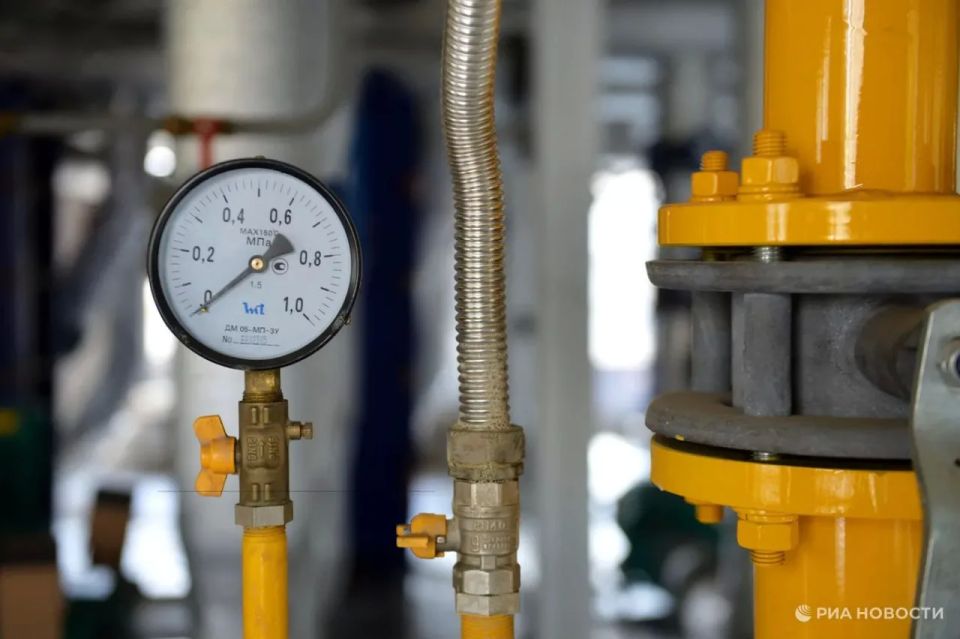 20 ������ � ����������� ���������� ������������ �����