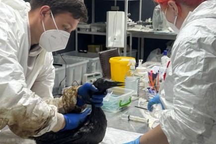 �� ��������� ������� ���� ����� ������� �������� � ����������� ��������������� ����