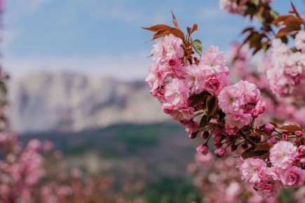 ����� � ������� ����� ������ ����������� ������ ������������ � �������� ���� ����