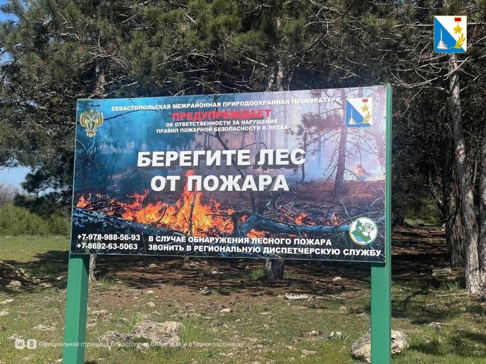 В Севастополе усилили охрану лесов В Севастополе усилили охрану лесов