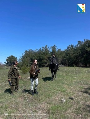 � ����������� ������� ������ �����