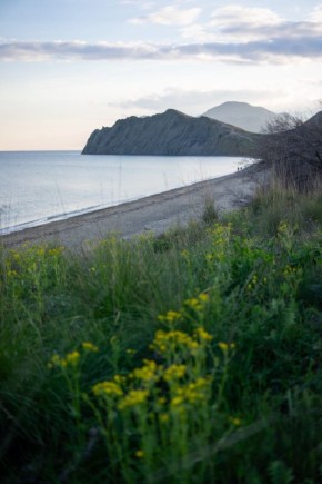 ������ � ����� �����. ���� ��������