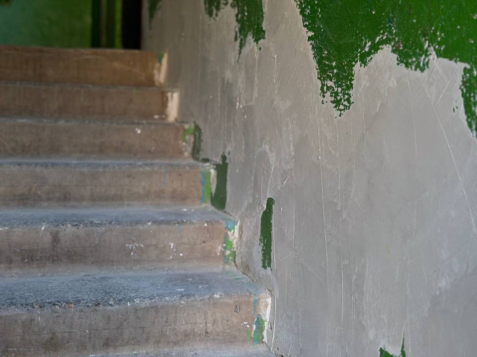 ���� ����������: ������� � �������� ��� ��������� �� ������ ����� ����������, 22 � �����������