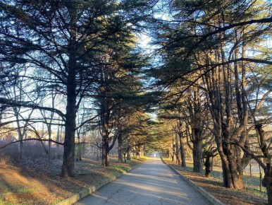 ������ � ����������� 18 ������