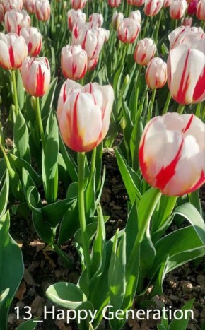 � ��������� ������������ ���� �������� ��������� ������ ���������