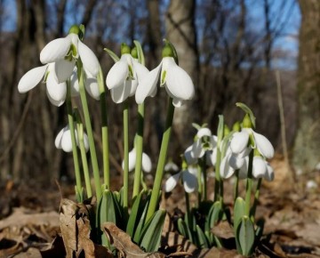 19 ������ - ���� �����������