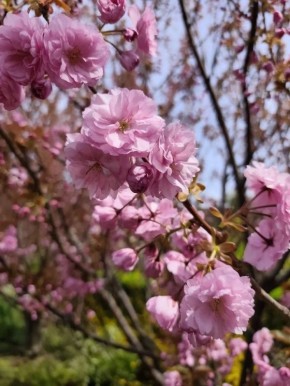 ������ � ����������� ���������� ����������