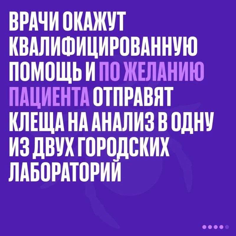 Ночью в Севастополе борются с кровососами Ночью в Севастополе борются с кровососами
