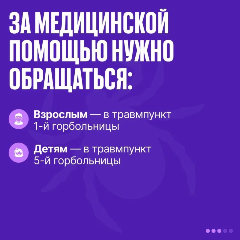 Михаил Развожаев: В Севастополе идёт обработка парков, скверов и зон отдыха от клещей Михаил Развожаев: В Севастополе идёт обработка парков, скверов и зон отдыха от клещей