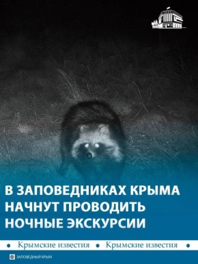 � �������� ������������ ������� ������ ��������