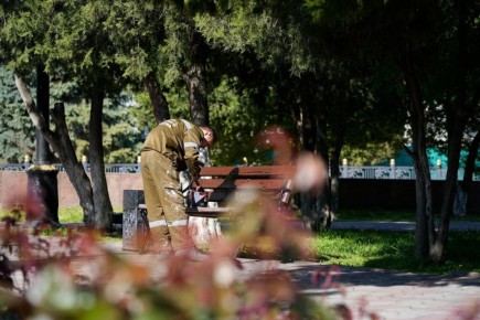 ������ ���������� ��������� ���������� �������� ������� �� ������������ ����������� �����