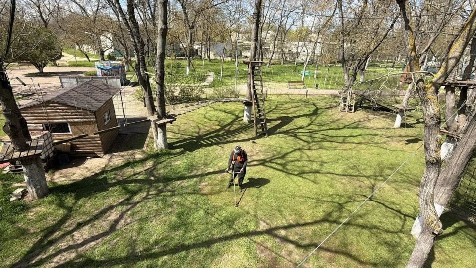 В Керчи подрядная организация наращивает темпы по покосу общественных территорий В Керчи подрядная организация наращивает темпы по покосу общественных территорий