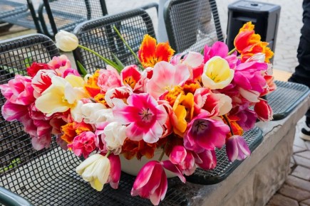 ����������� �������, ��������� � �����������, �������� 300 ���������