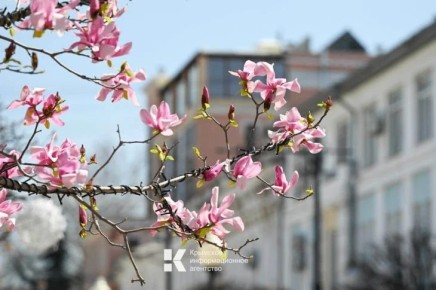 ���� ����� �������� � �������� �����: ������ ���������� ����������� ������� ������������� �������� �� ���� ������������ ����� ������