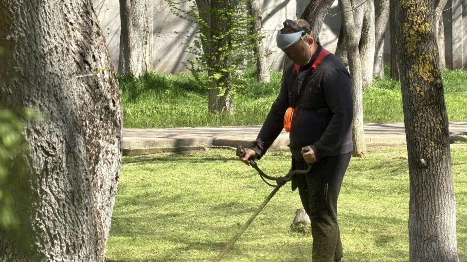 В Керчи подрядная организация наращивает темпы по покосу общественных территорий В Керчи подрядная организация наращивает темпы по покосу общественных территорий