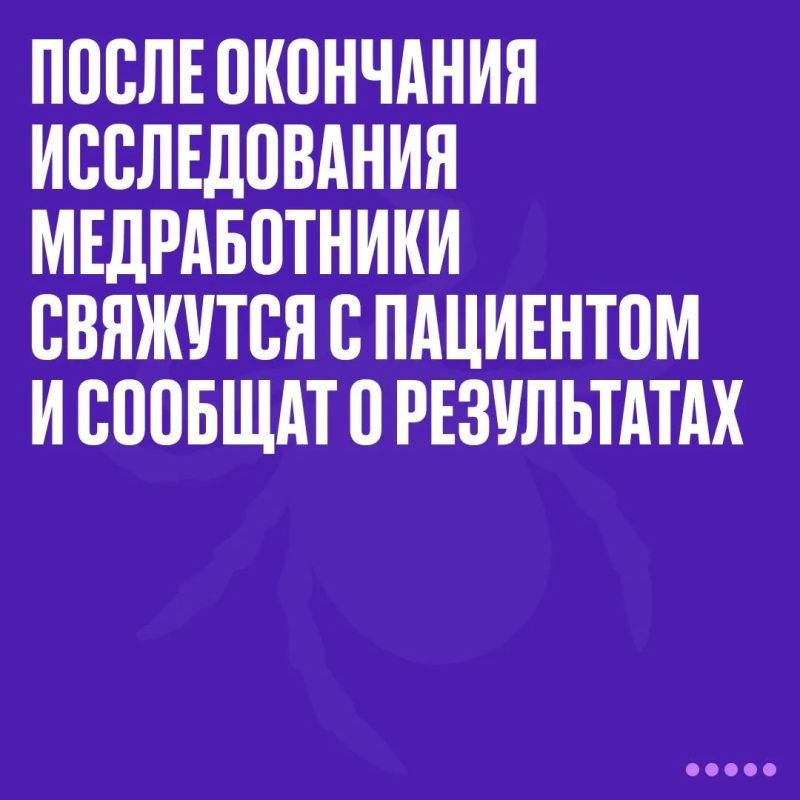 Михаил Развожаев: В Севастополе идёт обработка парков, скверов и зон отдыха от клещей Михаил Развожаев: В Севастополе идёт обработка парков, скверов и зон отдыха от клещей