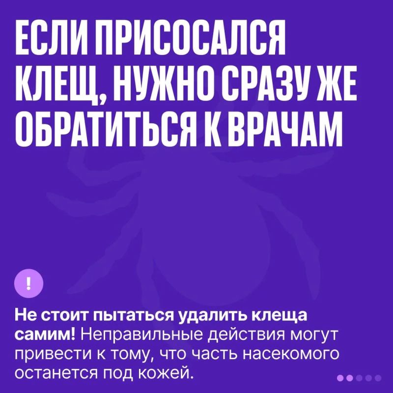 Михаил Развожаев: В Севастополе идёт обработка парков, скверов и зон отдыха от клещей Михаил Развожаев: В Севастополе идёт обработка парков, скверов и зон отдыха от клещей
