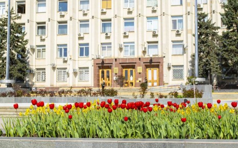 ������ ����!. #�����������