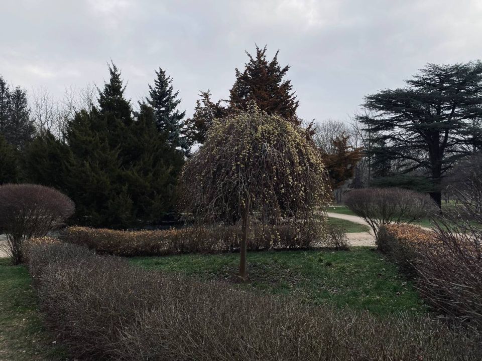 ������ � ����������� 21 ������: