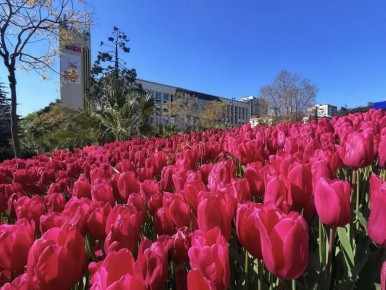 ����� ��������: ������, �������! � ���� �������� ��������������, ������� ���